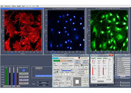 Corrupted by becker amp hickl gmbh gvd 120. Dcs 120 Confocal Flim System Becker Hickl Gmbh