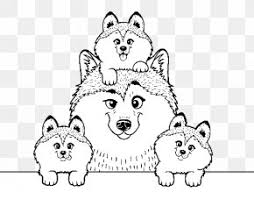There is a large increase in coloring books especially for people within the last 6 or 7 years. Puppy Coloring Book Samoyed Dog Colouring Pages Siberian Husky Png 500x615px Puppy Animal Area Art Artwork Download Free
