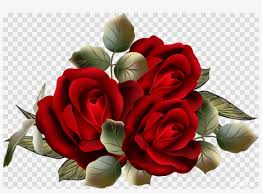 Rose flower love romance beautiful beauty bloom. Beautiful Roses Png Png Image Transparent Png Free Download On Seekpng
