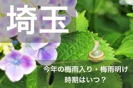 天気予報 ライブカメラ 雨雲レーダー 衛星雲画像 天気図 台風 警報・注意報 雷 地震 津波 会社概要 ご利用に際して 個人情報の取り扱い お問い合わせ. åŸ¼çŽ‰çœŒ é–¢æ±åœ°æ–¹ 2021å¹´ã®æ¢…é›¨å…¥ã‚Šã¨æ¢…é›¨æ˜Žã'å®£è¨€ã¯ã„ã¤ ä¾‹å¹´ã®æ™‚æœŸã‚„å‚¾å'ã‚‚ ã‚¸ã‚§ãƒƒãƒˆã‚¹ãƒªãƒ¼ãƒ'ãƒ¼