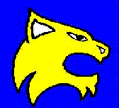 Buena Vista Girls Varsity Volleyball @ Custer County