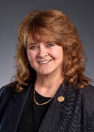 Idaho's parental consent law impedes 988 suicide crisis hotline access for  some youth