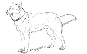 Free, printable coloring pages for adults that are not only fun but extremely relaxing. Siberian Husky Coloring Pages Coloring Home