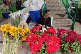 Toko bunga jakarta florist delivery di rawa belong barat 082299148647. Bunga Matahari Paling Diminati Di Pasar Bunga Rawa Belong Antara News
