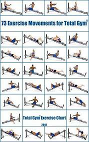 73 exercise movements for total gym total gym exercise