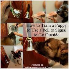 How To Potty Train Your Puppy Using A Bell When Doglovers Dogcommandstraining Dogtrainingtips Puppy Training Training Your Puppy Dog Potty Training