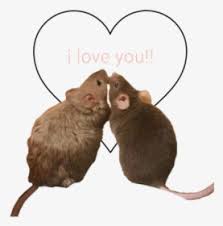 Hello kitty goth aesthetic clothes. Goth Hello Kitty Aesthetic Hd Png Download Transparent Png Image Pngitem