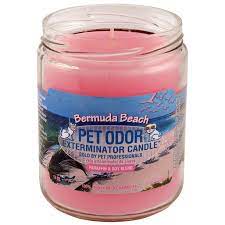 Maybe you would like to learn more about one of these? Bermuda Beach Pet Odor Exterminator Candle Walmart Com Walmart Com