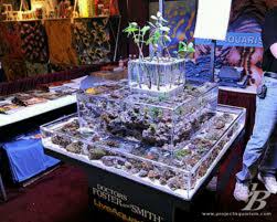 My Birthhday Cake Cool Fish Tanks Marine Aquarium Aquarium