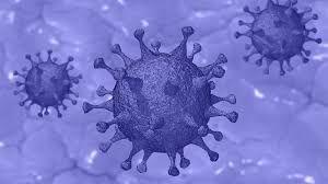 We found that viruss.eu is poorly 'socialized' in respect to any social network. How Viruses Work Howstuffworks