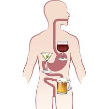 Blut im stuhl kann auf unterschiedliche erkrankungen zurückzuführen sein. Warum Alkohol Dir Das Kacken Versaut