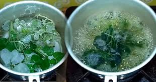 Jun 27, 2021 · manfaat daun sirih sebagai obat tradisional untuk mengobati sejumlah masalah kesehatan seperti kolesterol dan mimisan. Sirih Cina Tanaman Liar Seribu Manfaat Taman Inspirasi Safa