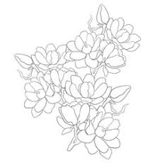 Flowers become great demanded object for most people in the world. Coloring Pages Flowers Vector Images Over 16 000