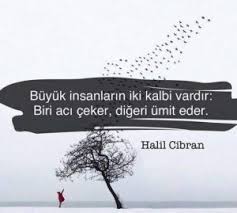 Empati Sozleri Resimli 2020 Ozlu Sozler Alintilar Felsefe