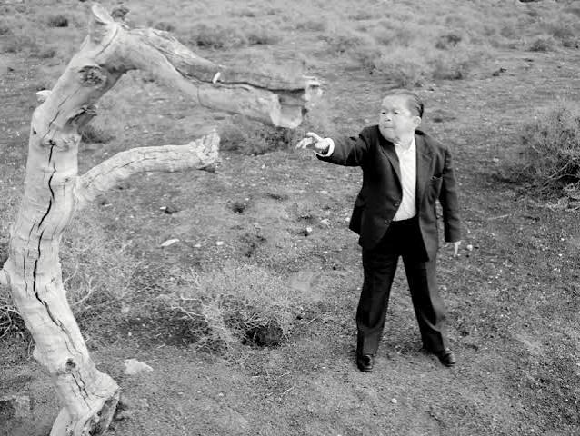 Even Dwarfs Started Small (1970) - IMDb