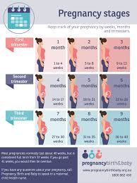How many months is 36 weeks. 20 Weeks Pregnant In Months