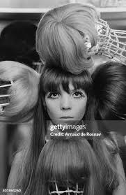 286 Penelope Tree Photos Stock Photos, High-Res Pictures, and Images