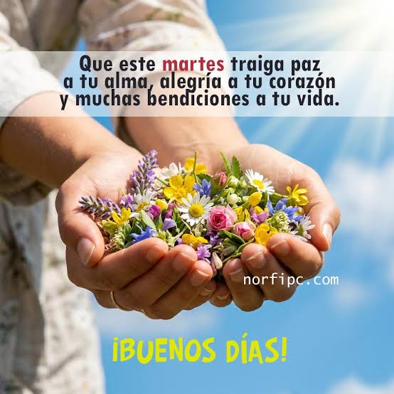Buenos Días Martes Bendiciones: Frases e Imágenes Bonitas (2026)