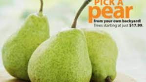 Search for stark nursery fruit trees more information at theweb.com! Stark Bro S Nurseries And Orchards Catalog Review Finegardening