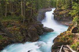 We did not find results for: Silver Falls Washington Photograph By Brian Bonham