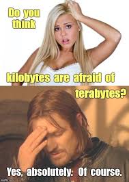 Image Tagged In Dumb Blonde Frustrated Boromir Funny Memes Rick75230 Funny Memes Dumb And Dumber Fun To Be One