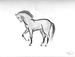 As in the free drawing lessons featured above, each demonstration on how to draw animals is provided in simple steps that you can follow. Easy Pencil Drawing Of Animal Novocom Top