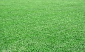 Maybe you would like to learn more about one of these? How To Lay Sod Over Existing Lawn Quick Guide 2020 Update