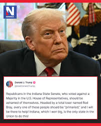 SHOULD BE ASHAMED OF THEMSELVES': President Trump lashed out at the Indiana  State Senate's rejection of House-passed redistricting and called for the  culprits to be primaried.