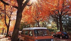 gilded autumn velvet cool landscapes vancouver instagram
