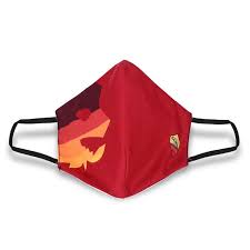 Top keywords % of search traffic. Roma Face Mask