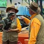 Dino West Adventure