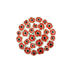 red poppy brooch