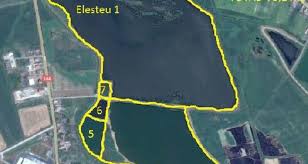 Peste viu de vanzare crap, amur, fitofag, caras, somn, salau livrare oriunde in ro. Afacere De Vanzare Vand Ferma Piscicola Piataafacerilor Ro