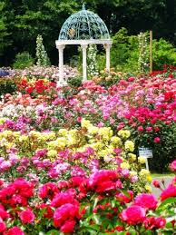 Pin By Siripen Chansiri On Board Garden Arch Dream Garden Garden