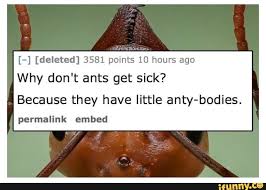 Deleted 3581 Points 10 Hours Ago Why Don T Ants Get Sick Because They Have Little Anty Bodies Permalink Embed Ifunny Get your free account now! ifunny