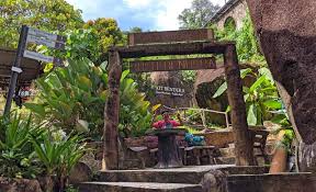 Heartiest congratulations to our penang hill corporation (phc) staff that have graduated the predator is visiting penang hill this morning. Hiking Penang Hill A Must Do Adventure In Penang