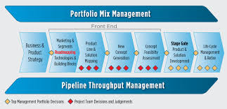 npd process the adept group