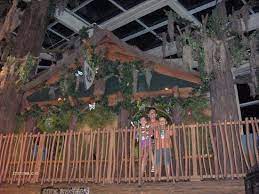 Magiquest was launched by creative kingdoms in 2005. L Entree Dans La Foret Enchantee Picture Of Magiquest Myrtle Beach Tripadvisor