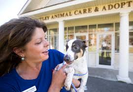 #1 best value of 16 pet friendly hotels in bangor. Bangor Humane Society Is Removing Its Incinerator As The First Step Of Major Renovation