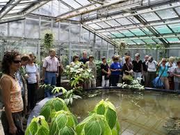 The botanischer garten gießen (4 hectares), more formally the botanischer garten der university of giessen, official name justus liebig university giessen, is a large public research university in. Botanischer Garten Bekommt Gewachshausanlage Fur 4 5 Millionen Giessen