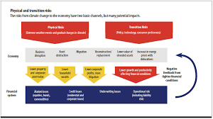 Climate Change Central Banks And Financial Risk Imf F D