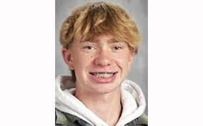 Cross country: Five Douglas County area athletes qualify for state meet  from Section 6A