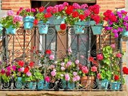 Zekât vermek dinimizce önemli olduğu kadar, bereket sahibi olmak için de önemlidir. Mahsulun Bereketli Olmasi Icin Dua Fatih In Sayfasi