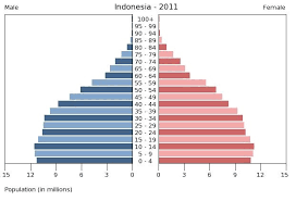 Pengertian Piramida Penduduk Budhii Weblog