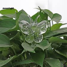 A butterfly house is a beautiful addition to any garden. Butterfly Butterfly For House Plants Succulents Flowers Edqz Cute Bird Snail Star Butterfly Glass Plant Flowers Waterer Self Watering Device Automatic Irrigation Equipment Drip Irrigation Kits Rematiptop Com Br