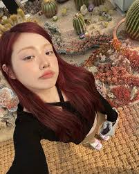 Pin de ˗ˏˋ banshee✧:・ﾟ em doydly