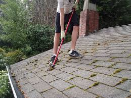 People who live in all parts of the nation and have roofs made from all sorts of materials, wood, metal, asphalt, clay or concrete tiles. How To Remove Moss From Roof Naturally