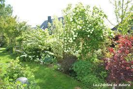 Mes Arbustes A Fleurs Preferes Pour Composer Une Haie Libre Les Jardins De Malorie Si mes arbustes est votre magasin pr�f�r�, nous vous conseillons de vous abonner � notre alerte de bon de reduction mes arbustes sur mes arbustes. composer une haie libre