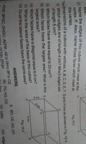 How Many Edges Does A Cuboid? | Homework.Study.Com