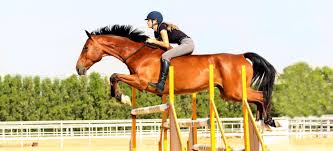 Sexemodele salon : trans escort toulon